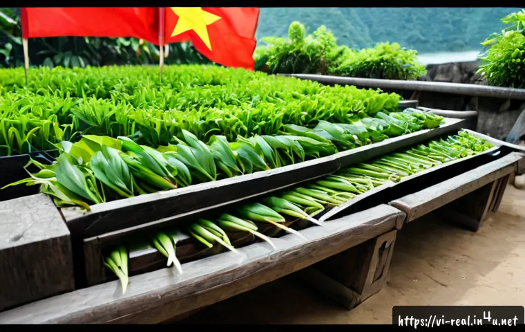 Chứng chỉ môi giới bất động sản mở ra những nghề nào? Lộ trình chọn việc và chi phí cần cân nhắc 4 공인중개사 자격증과 관련 직업군의 연계성 관련 이미지 2