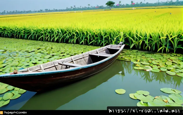 Nghiên cứu biến động thị trường bất động sản: Môi giới tạo giá trị gì và chọn dịch vụ theo từng giai đoạn? 4 공인중개사와 부동산 시장 변화 사례 연구 관련 이미지 2